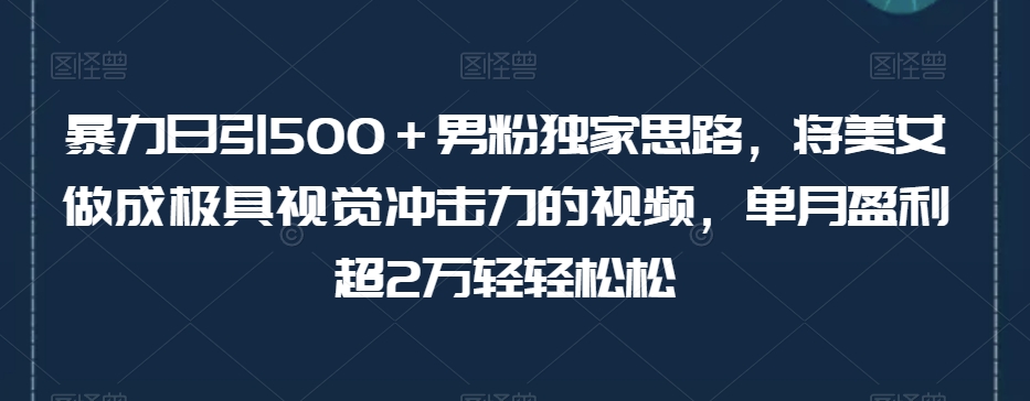 暴力日引500＋男粉独家思路，将美女做成极具视觉冲击力的视频，单月盈利超2万轻轻松松-第二象限