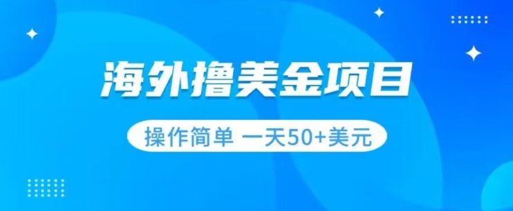 撸美金项目无门槛操作简单小白一天50+美刀-第二象限