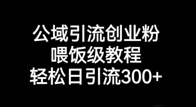 公域引流创业粉，喂饭级教程，轻松日引流300+【揭秘】-第二象限