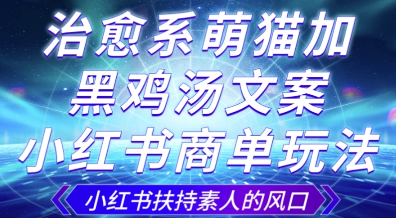 治愈系萌猫加+黑鸡汤文案，小红书商单玩法，3~10天涨到1000粉，一单200左右-第二象限