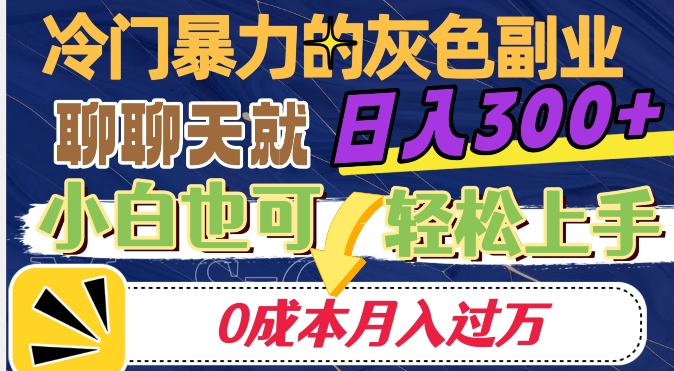 冷门暴利的副业项目，聊聊天就能日入300+，0成本月入过万【揭秘】-第二象限