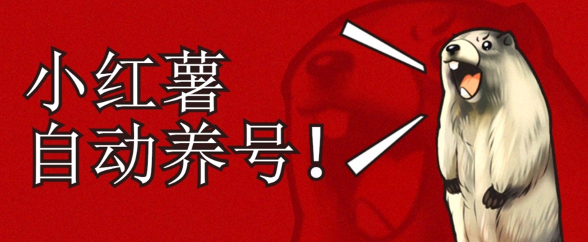 小红书养号秘籍，如何自动涨粉清晰系统标签打造高权重账号【揭秘】-第二象限