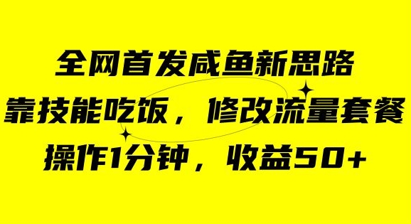 咸鱼冷门新玩法，靠“技能吃饭”，修改流量套餐，操作1分钟，收益50【揭秘】-第二象限