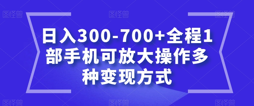 日入300-700+全程1部手机可放大操作多种变现方式【揭秘】-第二象限