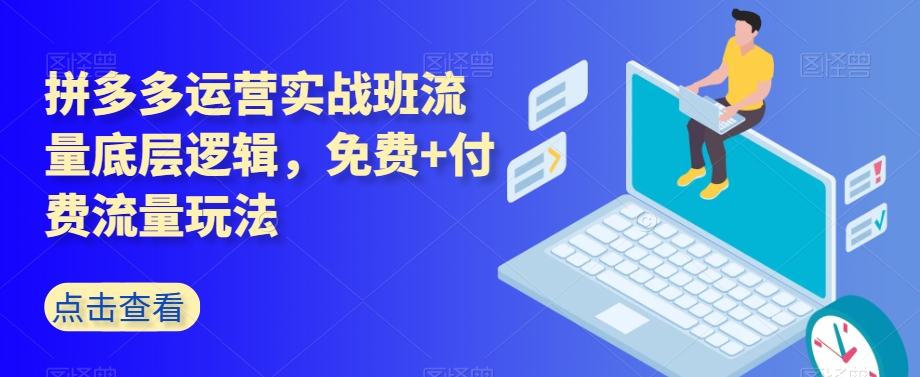 拼多多运营实战班流量底层逻辑，免费+付费流量玩法-第二象限