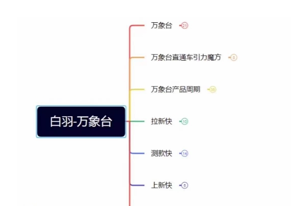 白羽·直引万搜索全篇，从0-1，多个类目实操经验总结付费-第二象限