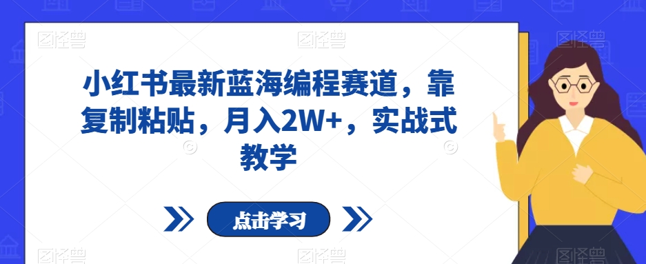 小红书最新蓝海编程赛道，靠复制粘贴，月入2W+，实战式教学【揭秘】-第二象限