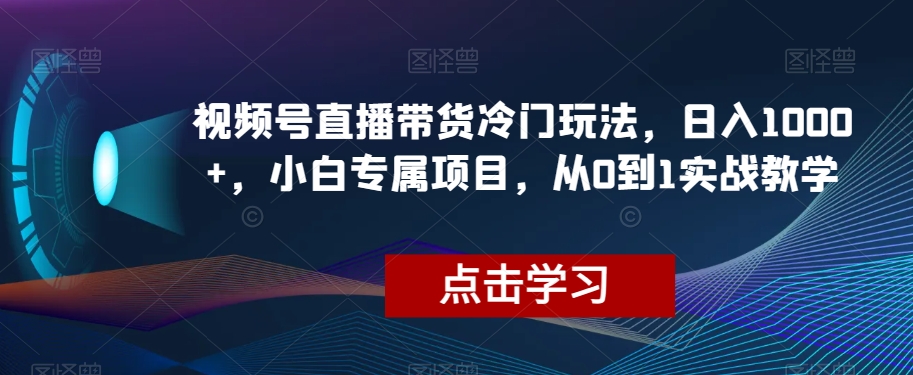 视频号直播带货冷门玩法，日入1000+，小白专属项目，从0到1实战教学【揭秘】-第二象限