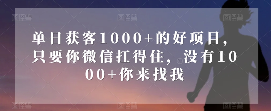 单日获客1000+的好项目，只要你微信扛得住，没有1000+你来找我【揭秘】-第二象限
