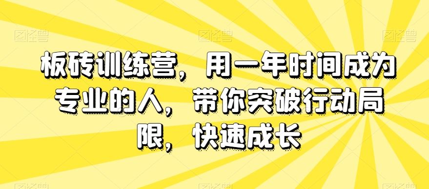 板砖训练营，用一年时间成为专业的人，带你突破行动局限，快速成长-第二象限