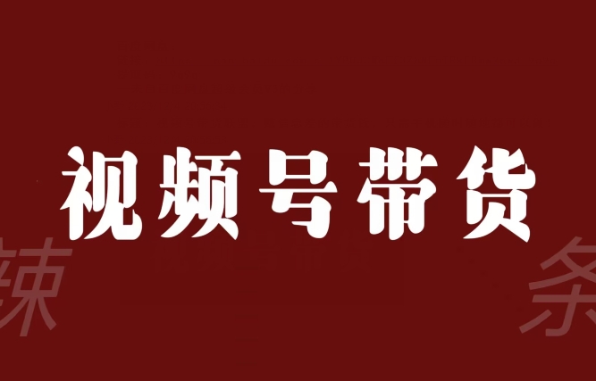 视频号带货联盟，赚信息差的带货钱，只需手机随时随地都可以做！-第二象限