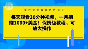 每天观看30分钟视频，一月躺赚1000+美金！保姆级教程，可放大操作【揭秘】-第二象限