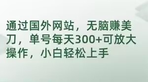 通过国外网站，无脑赚美刀，单号每天300+可放大操作，小白轻松上手【揭秘】-第二象限
