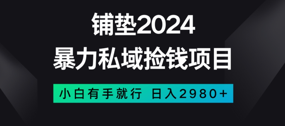 暴力私域捡钱项目，小白无脑操作，日入2980【揭秘】-第二象限