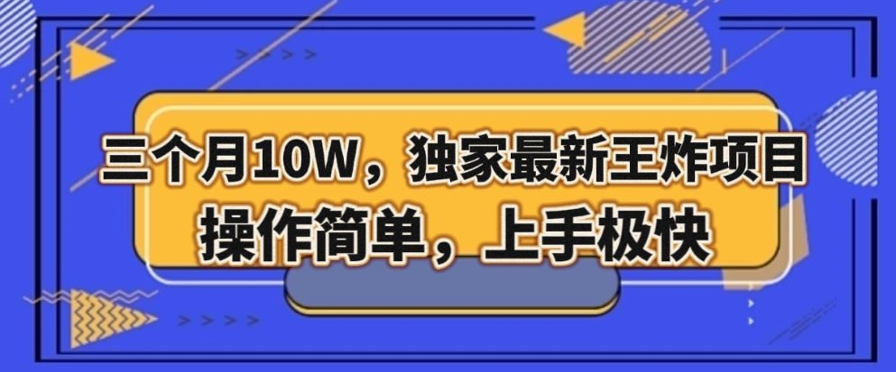 三个月10W，独家最新王炸项目！操作简单，上手极快【揭秘】-第二象限