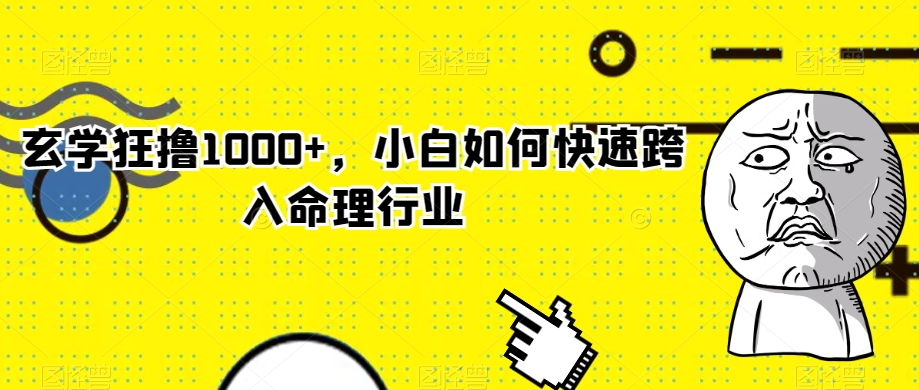 玄学狂撸1000+，小白如何快速跨入命理行业【揭秘】-第二象限