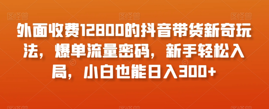 外面收费12800的抖音带货新奇玩法，爆单流量密码，新手轻松入局，小白也能日入300+【揭秘】-第二象限