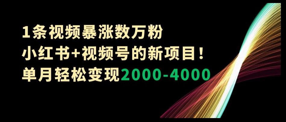 1条视频暴涨数万粉–小红书+视频号的新项目！单月轻松变现2000-4000【揭秘】-第二象限