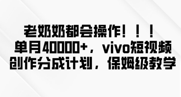 老奶奶都会操作，新平台无脑操作，单月40000+，vivo短视频创作分成计划【揭秘】-第二象限