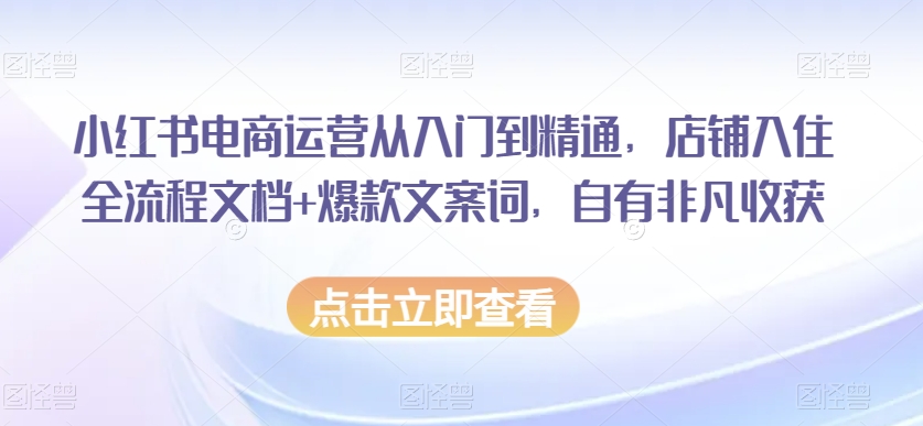 小红书电商运营从入门到精通，店铺入住全流程文档+爆款文案词，自有非凡收获-第二象限