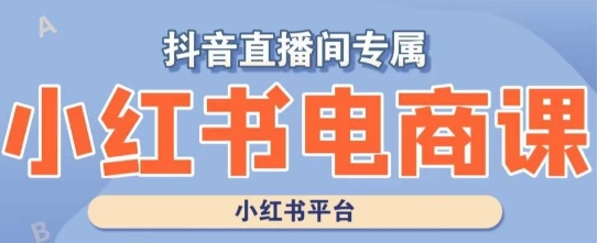 小红书电商高级运营课程，实操教学+案例分析-第二象限