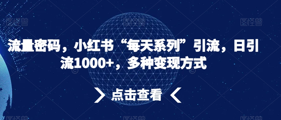 流量密码，小红书“每天系列”引流，日引流1000+，多种变现方式【揭秘】-第二象限