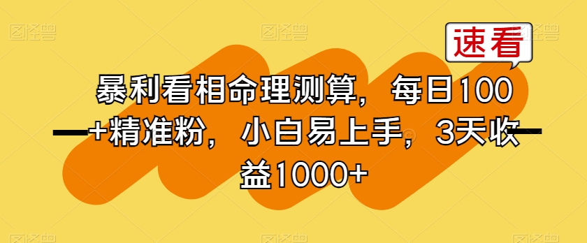 暴利看相命理测算，每日100+精准粉，小白易上手，3天收益1000+【揭秘】-第二象限