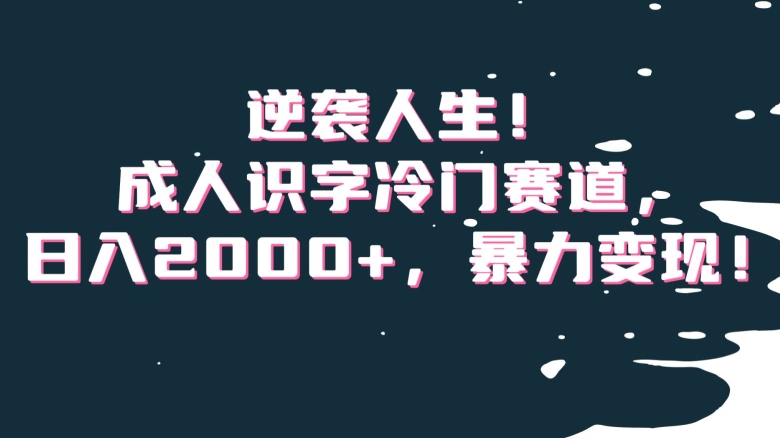 逆袭人生！成人识字冷门赛道，日入2000+，暴力变现！【揭秘】-第二象限