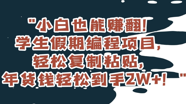 小白也能赚翻！学生假期编程项目，轻松复制粘贴，年货钱轻松到手2W+【揭秘】-第二象限
