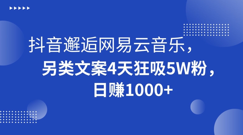 抖音邂逅网易云音乐，另类文案4天狂吸5W粉，日赚1000+【揭秘】-第二象限