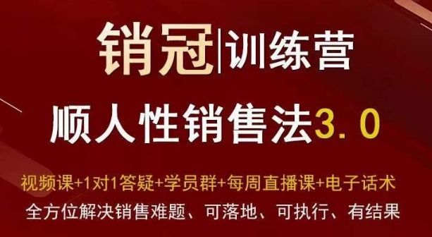 爆款！销冠训练营3.0之顺人性销售法，全方位解决销售难题、可落地、可执行、有结果-第二象限