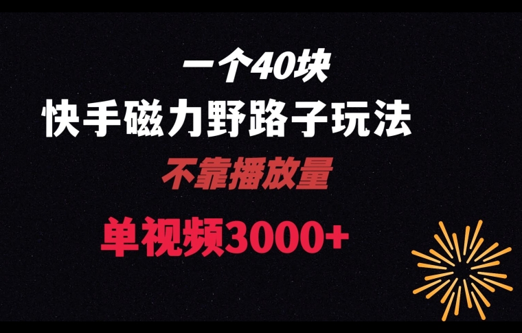 一个40块，快手联合美团磁力新玩法，无视机制野路子玩法，单视频收益4位数【揭秘】-第二象限