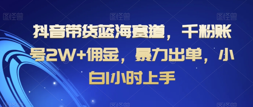 抖音带货蓝海赛道，千粉账号2W+佣金，暴力出单，小白1小时上手【揭秘】-第二象限