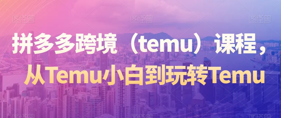 拼多多跨境（temu）课程，从Temu小白到玩转Temu-第二象限