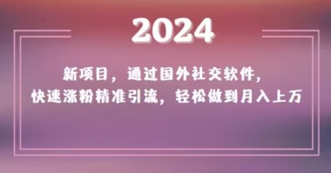 2024新项目，通过国外社交软件，快速涨粉精准引流，轻松做到月入上万【揭秘】-第二象限
