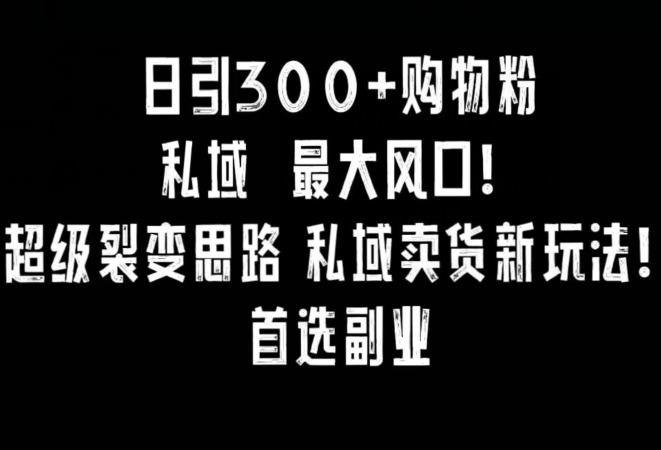 日引300+购物粉，超级裂变思路，私域卖货新玩法，小红书首选副业【揭秘】-第二象限