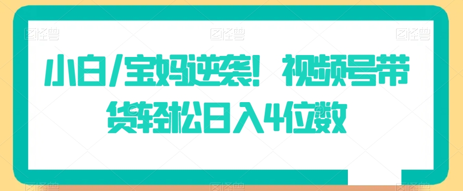 小白/宝妈逆袭！视频号带货轻松日入4位数【揭秘】-第二象限