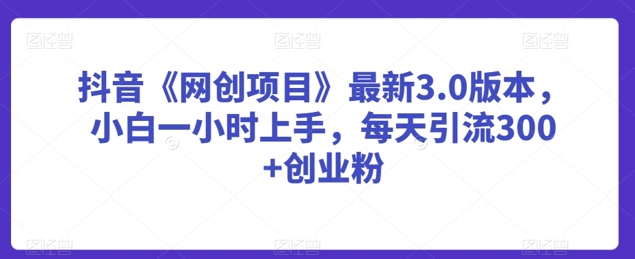 抖音《网创项目》最新3.0版本，小白一小时上手，每天引流300+创业粉【揭秘】-第二象限