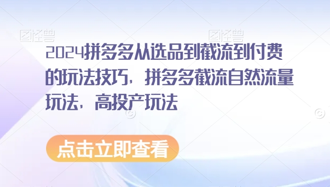 2024拼多多从选品到截流到付费的玩法技巧，拼多多截流自然流量玩法，高投产玩法-第二象限
