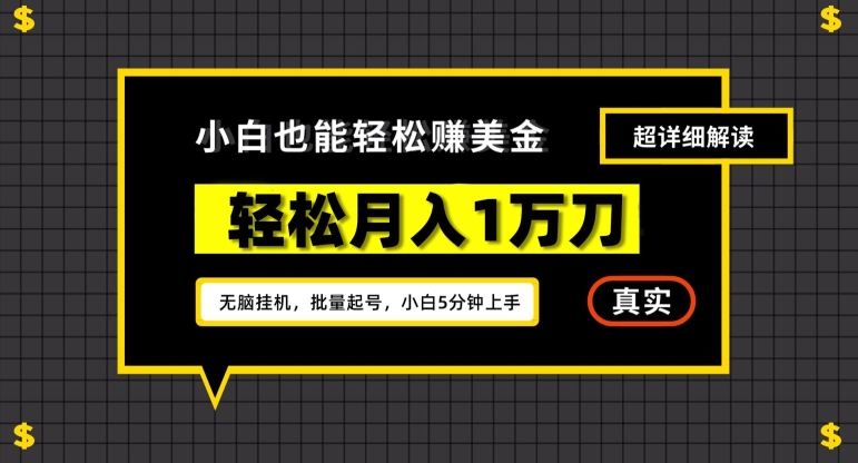 谷歌看广告撸美金2.0，无脑挂机，多号操作，月入1万刀【揭秘】-第二象限