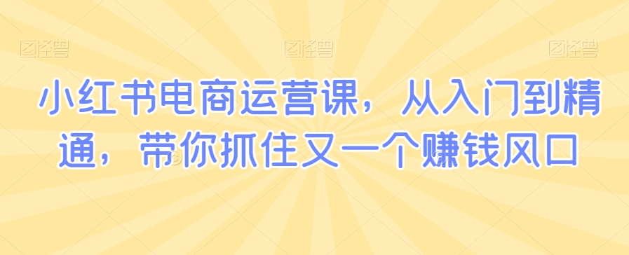 小红书电商运营课，从入门到精通，带你抓住又一个赚钱风口-第二象限