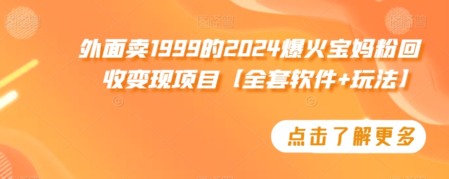 外面卖1999的2024爆火宝妈粉回收变现项目【全套软件+玩法】【揭秘】-第二象限