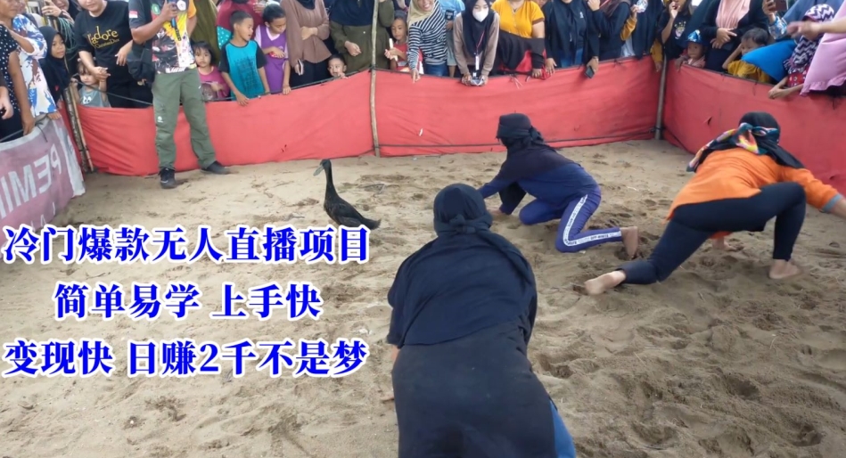 冷门爆款无人直播项目，简单易学上手快，变现快日赚2千不是梦【揭秘】-第二象限