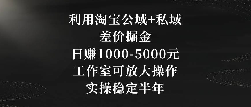 利用淘宝公域+私域差价掘金，日赚1000-5000元，工作室可放大操作，实操稳定半年【揭秘】-第二象限