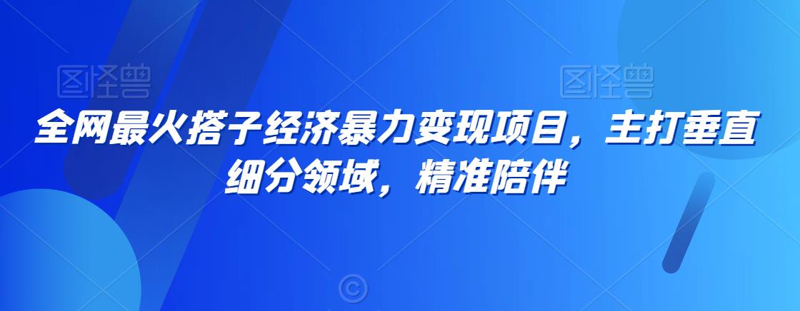 全网最火搭子经济暴力变现项目，主打垂直细分领域，精准陪伴【揭秘】-第二象限