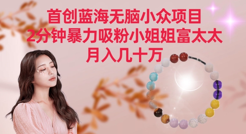 首创蓝海无脑小众项目，2分钟暴力吸粉小姐姐富太太，月入几十万【揭秘】-第二象限