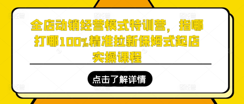全店动销经营模式特训营，指哪打哪100%精准拉新保姆式起店实操课程-第二象限