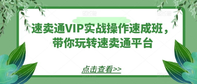 速卖通VIP实战操作速成班，带你玩转速卖通平台-第二象限