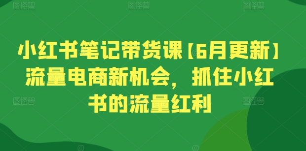 小红书笔记带货课【6月更新】流量电商新机会，抓住小红书的流量红利-第二象限