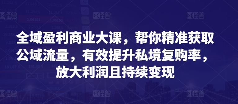 全域盈利商业大课，帮你精准获取公域流量，有效提升私境复购率，放大利润且持续变现-第二象限